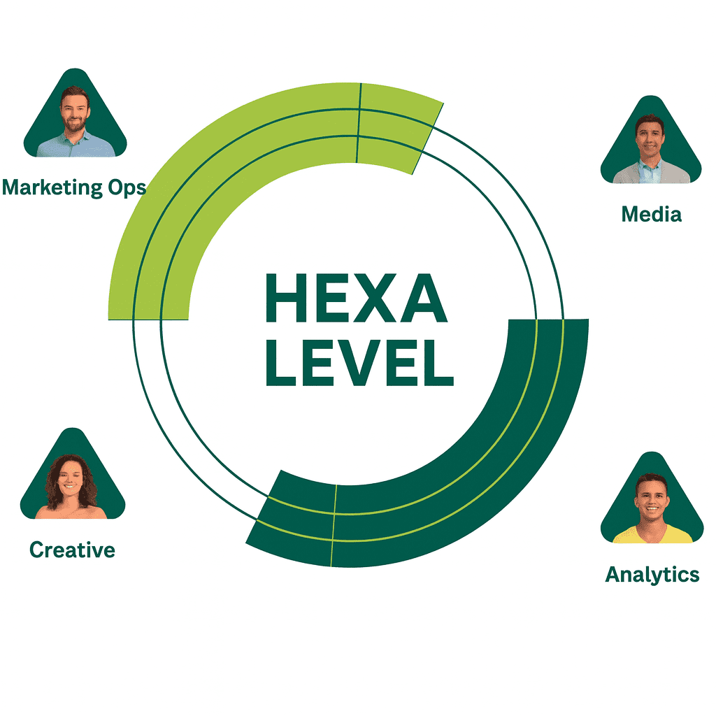 hexalevel, CRM automation,wordpress development company